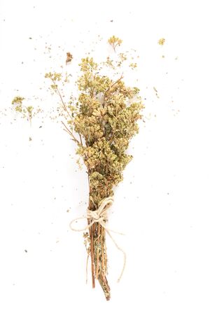 Bouquet of wild dry oregano, on white background.の写真素材