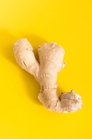 Fresh ginger root, on vivid yellow background
