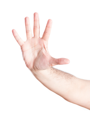 Hand in open palm gesture, on white background.の写真素材