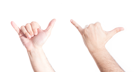 Set of gesturing hands, on white background.の写真素材