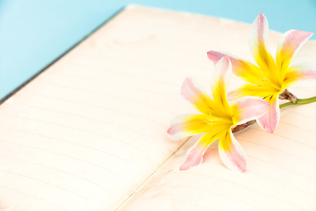 Colorful spring flowers, with blank open diary for text, closeup on light blue background.の写真素材