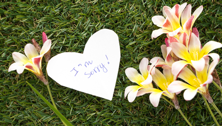 Note in shape of heart with words I'm Sorry!, with flowers on green grass.