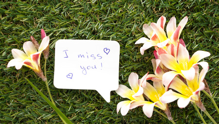 
Note in shape of a chat bubble, with words I miss you! and flowers on green grass.
の写真素材
