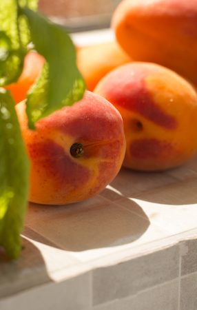 Juicy fresh apricots on window counter, on natural light.の写真素材