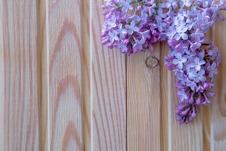 The beautiful lilac on a wooden backgroundの写真素材