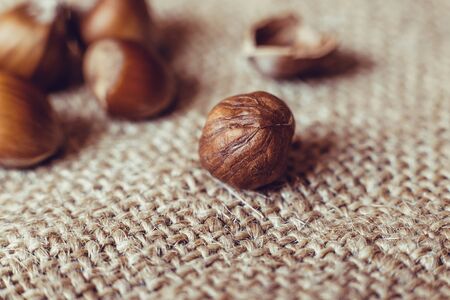 Filtered image of Hazelnuts on rustic backgroundの写真素材