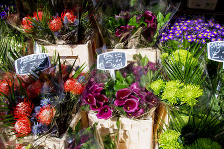 Colorful variety of flowers sold in the marketの写真素材