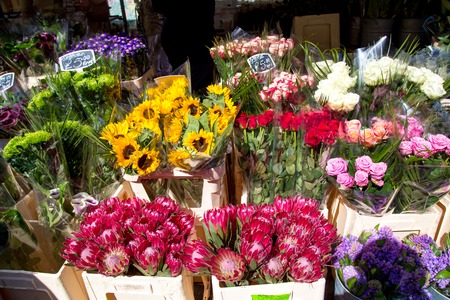 London, United Kingdom - April 17, 2015: Columbia Road Flower Sunday market. Street traders are selling their stock, people choosing flowersのeditorial素材
