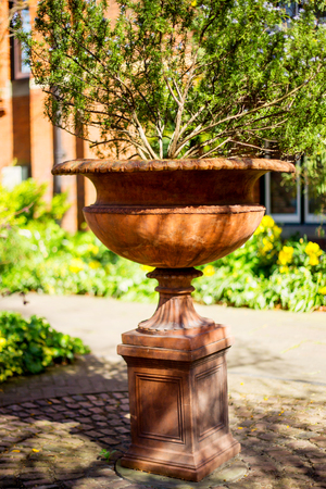 Beautiful garden planterの写真素材