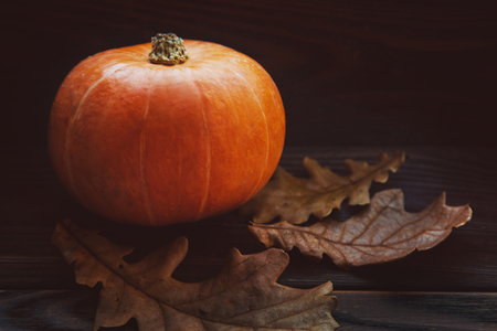 Autumn Pumpkin Thanksgiving Background - orange pumpkins over wooden tableの写真素材