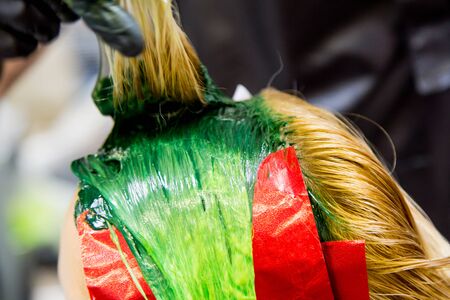 Professional hairdresser dyeing hair. Multicolor Fluorescent stainingの写真素材