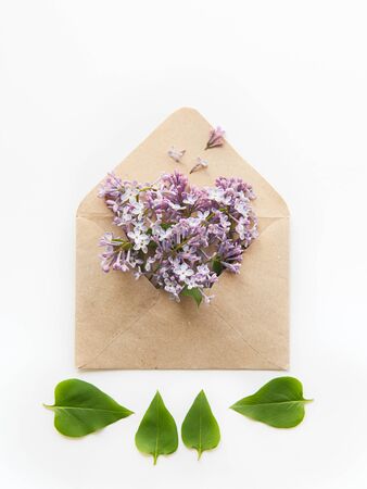 Card with opened craft paper envelope filled with spring blossom purple lilac flowers and few green leafs laying on white background. top view. Flat lay. Space for text.の写真素材