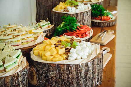 Outside Catering buffet table with a delicious food for guests of the event in rustic style. Service at business meeting, party, weddings. Selective focus, space for text.の写真素材