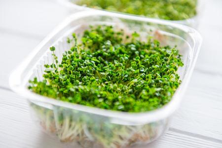 Fresh organic sprout micro greens in plastic box on the white wooden table. Healthy Raw diet food concept. Copy space for text. Selective focusの写真素材