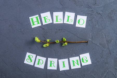 Simple composition of Hello spring calligraphy lettering and branche with young shoots of greenery...