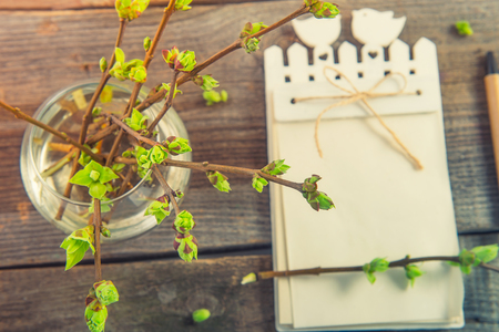 Top view Vase with branches with young shoots of greenery and blurred notebook on the rustic wooden table. Spring awaking concept. Vintage toning. Selective focus, space for textの写真素材