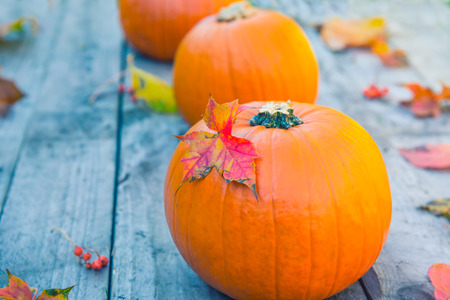 Three pumpkins with fall leaves on stone table with gaarden seasonal background. Autumn harvest, thanksgiving, halloween concept. healthy diet food. Selective focus. Copy space. Vertical.の写真素材