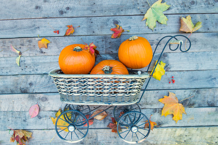Top view Garden basket with small pumpkins on the old wooden rustic background with maple leaves....