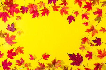 Top view Autumn frame from fallen red maple leaves on textured bright yellow paper. Colorful autumn...