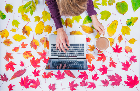 Autumn composition: workspace with hands on laptop keyboard and cup of coffee on fallen leaves gradient colorful rainbow background on white.の写真素材