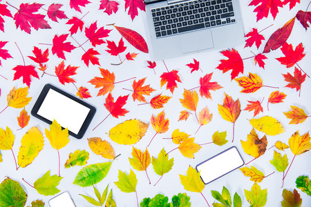 Autumn mockup for seasonal sales. Laptop keyboard, tablet and smart phone with empty screen for copy space on fallen leaves gradient colorful rainbow background on white.の写真素材