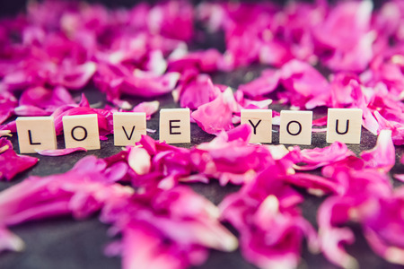 Message I love you spelled in wooden blocks with roses in background