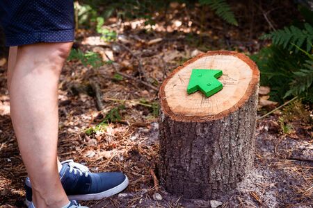 Close up man's legs and tree stump with green wooden arrow pointing the direction of the footpath or trail . Nature reserve,tourism, forest walk concept. Copy spaceの写真素材