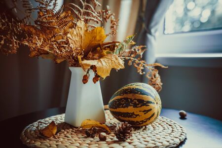 Beautiful autumn still life with bouquet of falling leaves, fern, rose hip in vase and decorative striped pumpkin on straw napkin. Natural decoration design. Seasonal mood. Selective focus, copy space.の写真素材