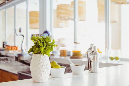Close up fresh mint in vase, other ingredients and profesisonal shakers for making mojito on the white bar table with blurred window background. Soft selective focus, copy spaceの写真素材