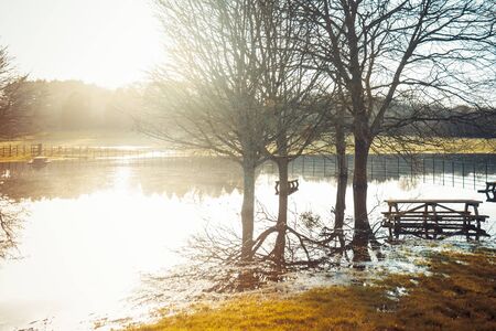 The landscape of flooded community picnic and rest area with trees, their reflection, and tables in back sunset light. Beauty and calm of disaster. Copy spaceの写真素材