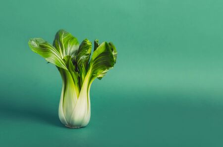 Fresh green pak choi on a green background. Vegetarian and vegan diet. Veganism. Sustainable lifestyle, plant-based foods. Copy spaceの写真素材