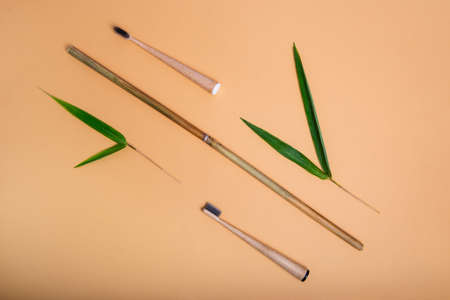 Top view fresh bamboo leaves and canes with toothbrushes made using waste-free technologies on beige background. Concept of rational and conscious use of natural resources, environmental protectionの写真素材