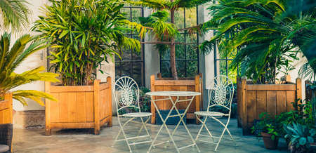Metal garden furniture, stools and table standing in tropical plants orangery with palms in wooden flowerbeds. Relaxing time in biophilic interior style. Greenhouse cafe. Wide banner. Copy space.の写真素材