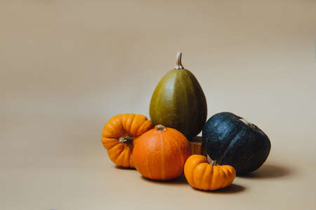Orange and green decorative pumpkins. Autumn composition on trendy earth tones color background. Autumn, fall, thanksgiving, halloween minimalism concept. Selective focus. Copy space.の写真素材