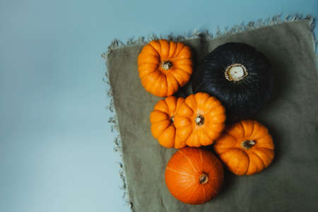 Top view decorative pumpkins on green napkin. Autumn harvest composition on trendy earth tones color...