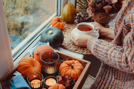 Female hands holding cup of tea near autumn cozy mood composition on the windowsill. Pumpkins, cones, candles on wooden tray. Slow living, relax. Fall, hygge home decor. Selective focus. Copy space.の写真素材