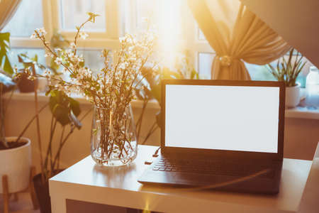 A home workplace with white screen laptop for mockup, blooming branches in a vase on the desk with room interior background in sunset light. Freelance, working from home, online learning, home officeの写真素材