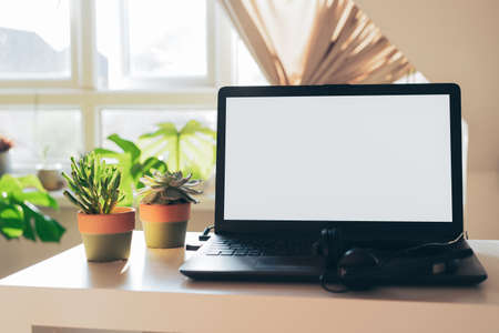 The modern workplace - desk with laptop mockup white empty screen and green succulent plants in pots at workspace in home office room interior in eco-friendly neutral tones. Copy spaceの写真素材