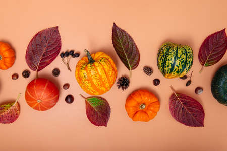 Autumn composition. Pumpkins, dried leaves, nuts and cones on neutral orange background. Autumn, fall, halloween, thanksgiving day concept. Flat lay, top viewの写真素材