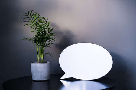 Empty blank lightbox with space for text , small Areca Palm home plant in a concrete pot on black...
