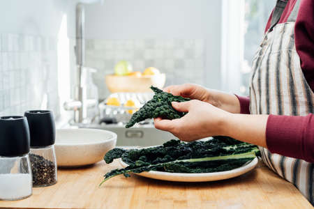 Woman tearing curly green kale leaves into pieces for kale, chips or salad. Healthy eating cooking step, ready to prepare food. Selective focus, copy space.の写真素材