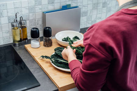 Woman tearing curly green kale leaves into pieces for kale, chips or salad. Healthy eating cooking...
