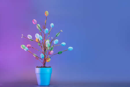 Easter tree decor in blue pot with colorful eggs in neon colors light. Purple very peri color minimalist festive background. Modern trendy Easter. Selective focus. Copy space.の写真素材
