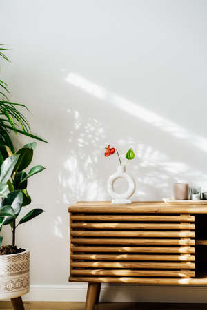 Modern minimalist Scandinavian style interior. Nordic ceramic vase with red Anthurium flower,...
