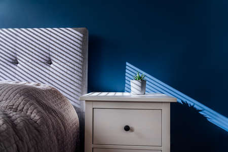 Succulent in concrete plant pot with decorative shadows on a blue wall and bedside table in bedroom...