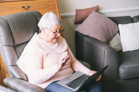 Senior grandmother sitting on armchair, looking at laptop screen. Grey-haired mature woman reading...