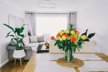 Kitchen counter table with focus on vase with yellow and orange roses on it with blurred background of modern cozy living room with couch and green plants. Open space home interior design. Copy space.の写真素材