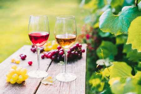 Glasses with white and red wine and grape berries on the wooden table in the vineyards, winery with...
