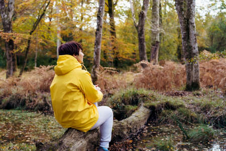 Back view woman in bright yellow raincoat sitting on a fallen tree, looking at the forest and...