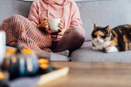 Close up woman in plaid holding cup of tea or coffee, watching movie, TV with multicolored cat on the sofa at home, decorated for fall holidays. Cozy and comfortable autumn concept. Selective focusの写真素材